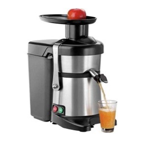 Fruit Juicer